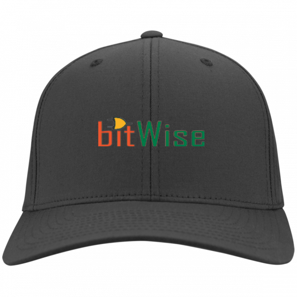 Bitwise Twill Cap 1