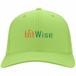 Bitwise Twill Cap 3