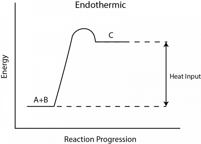 Where does the heat endures in an endothermic and exothermic reaction ...