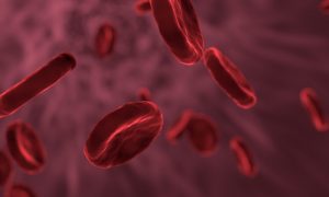 What are the types of Blood cells? 2