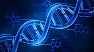 How does a cell interpret the genetic code? 2