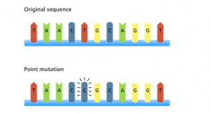 What is Mutation in biology? 2