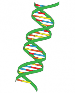 How is biology data stored? 2