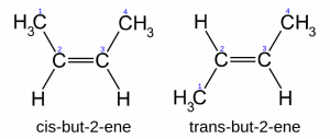 Can you explain the chemical species with different arrangements of atoms in the molecule and its types? 2