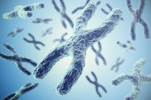 Chromosomes on blue background, scientific concept 3d illustration