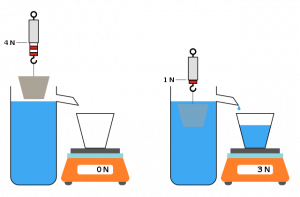 What is the Archimedes Principle? 2