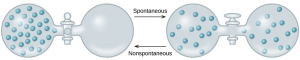 How do spontaneous and non-spontaneous processes occur? 2