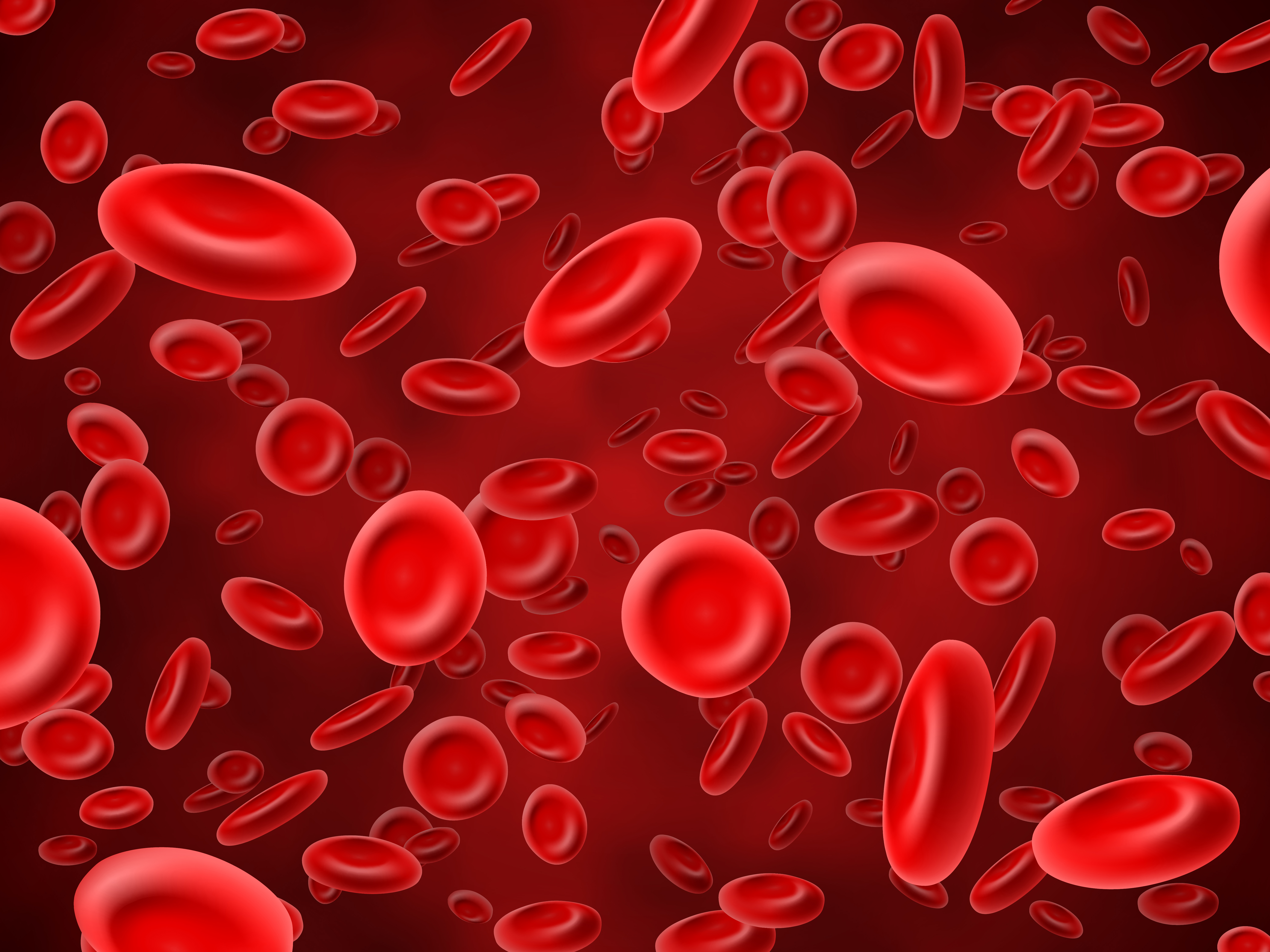 What are the types of Blood cells? 1