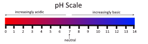 Explain the characterization of aqueous solutions as acidic, basic, or neutral? 2