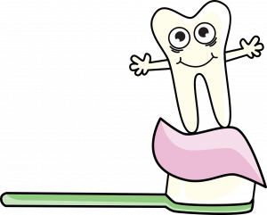 Explain the role of fluoride in preventing tooth decay? 2