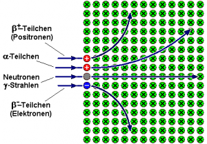 What are the medical applications and biological effects of nuclear radiation? 2